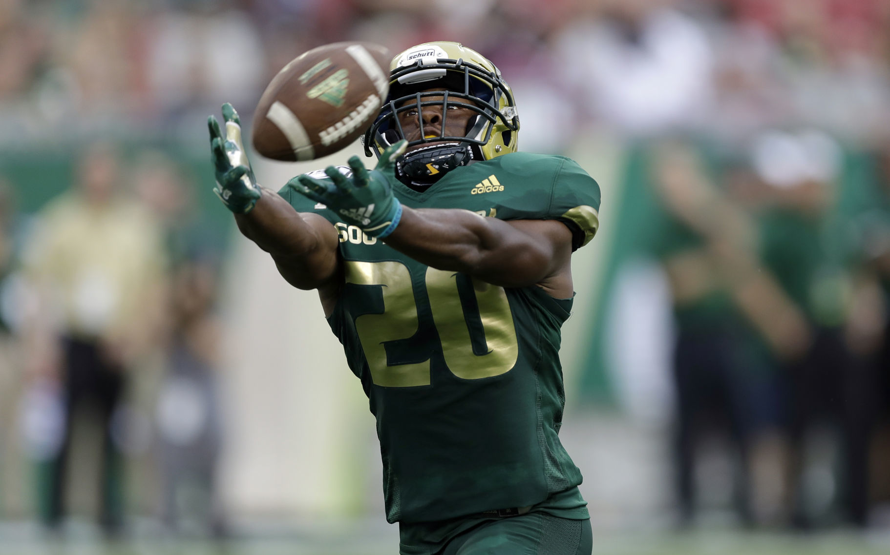 S Carolina St South Florida Football